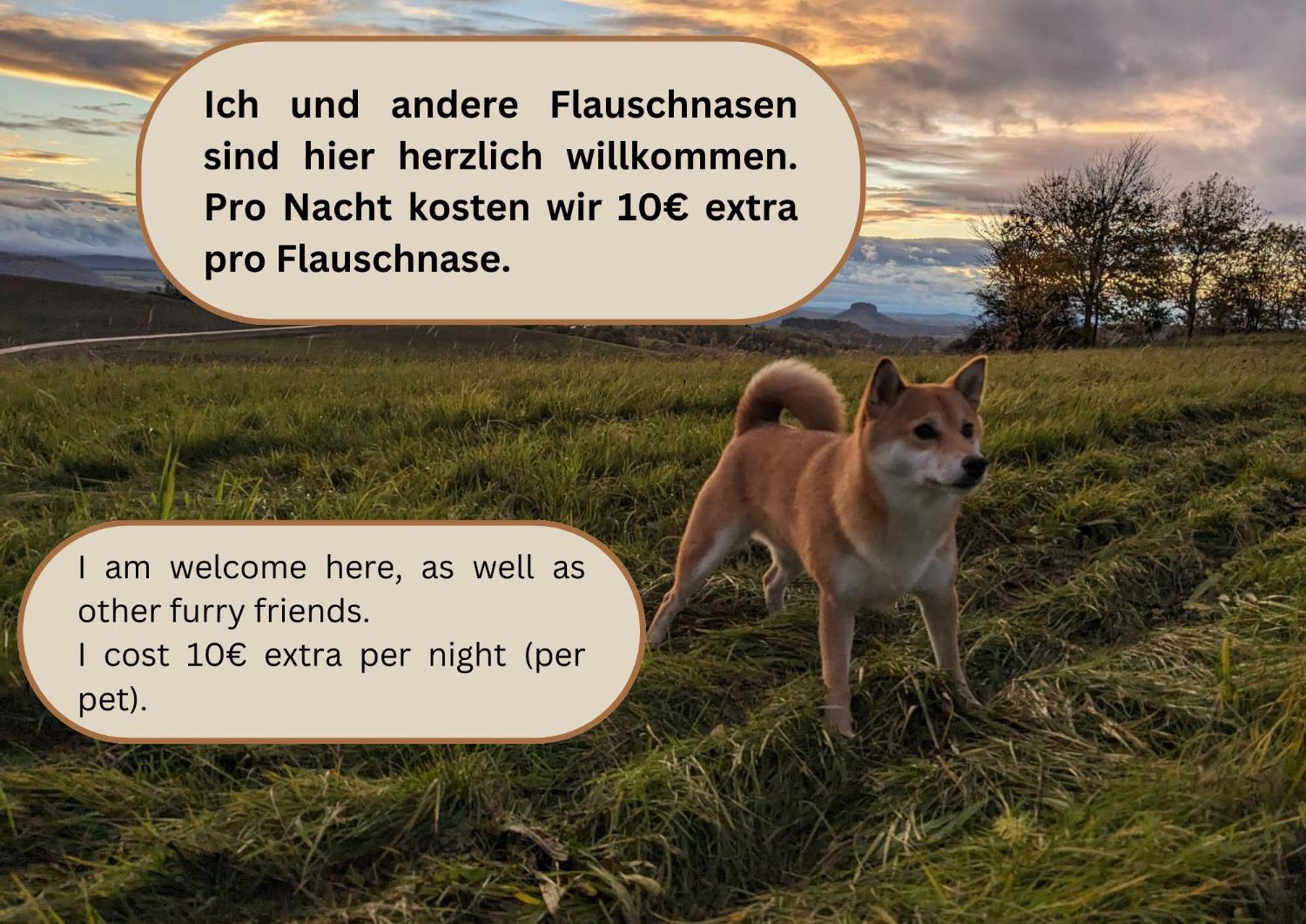 R3 - Urlaubsmagie - Helle Wohnung Mit Garten & Pool Rathmannsdorf 외부 사진